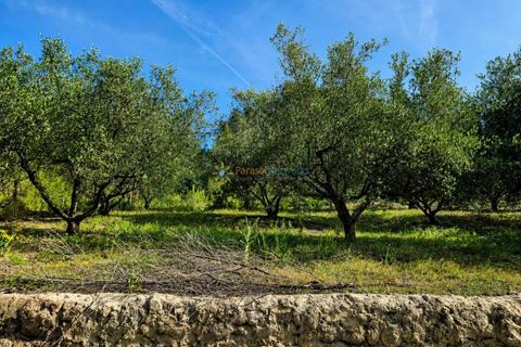 Villa i Beniganim, Valencia, Beniganim - € 72.000 | Ref: PNVL2173 - foto 12